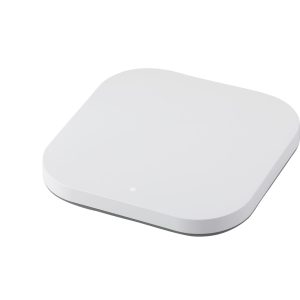 PAX1800v2 Point d'accès Wi-Fi 6